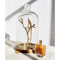 Magical Thinking Glass Cloche Jewelry Stand http://www.urbanoutfitters.com/urban/catalog/productdetail.jsp?id=33630963&parentid=GIFT-GLITTER#/