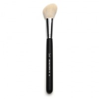 Sigma blush brush http://www.sigmabeauty.com/product_p/f40.htm?click=65806
